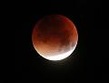 D_20150928-040444 IMG_7637a a